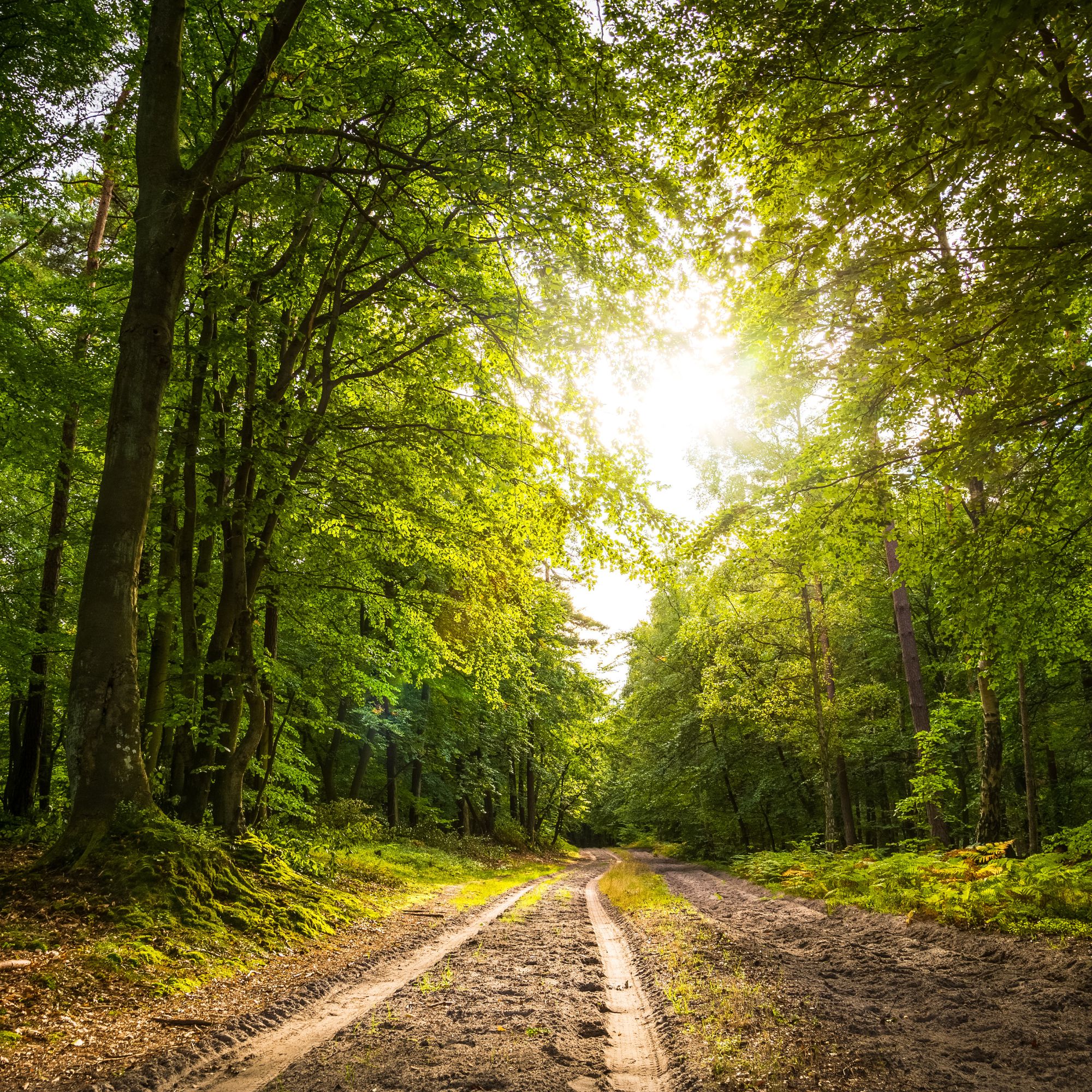 A Happy patient on Grief Counseling in Woburn, Massachusetts