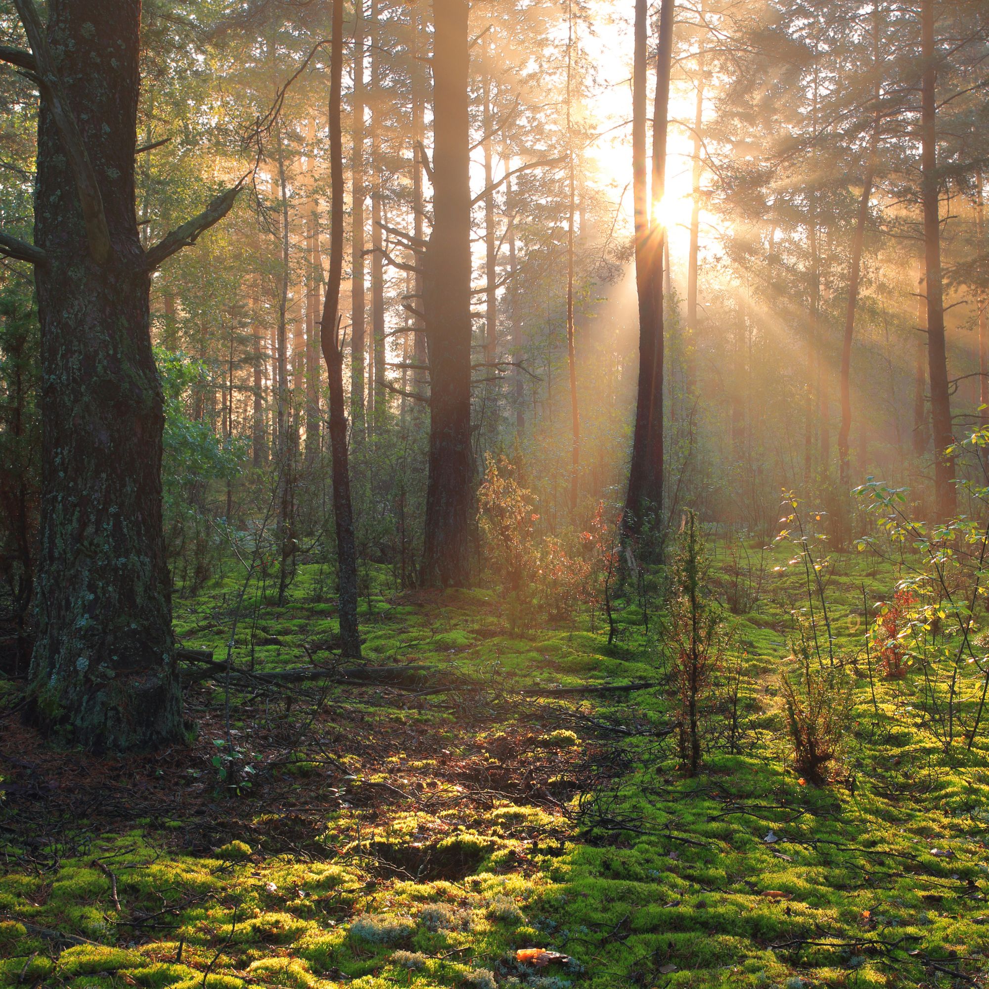 ADHD Therapy in Woburn, Massachusetts