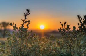 What Is Emotional Regulation A Complete Guide to Managing Your Emotions