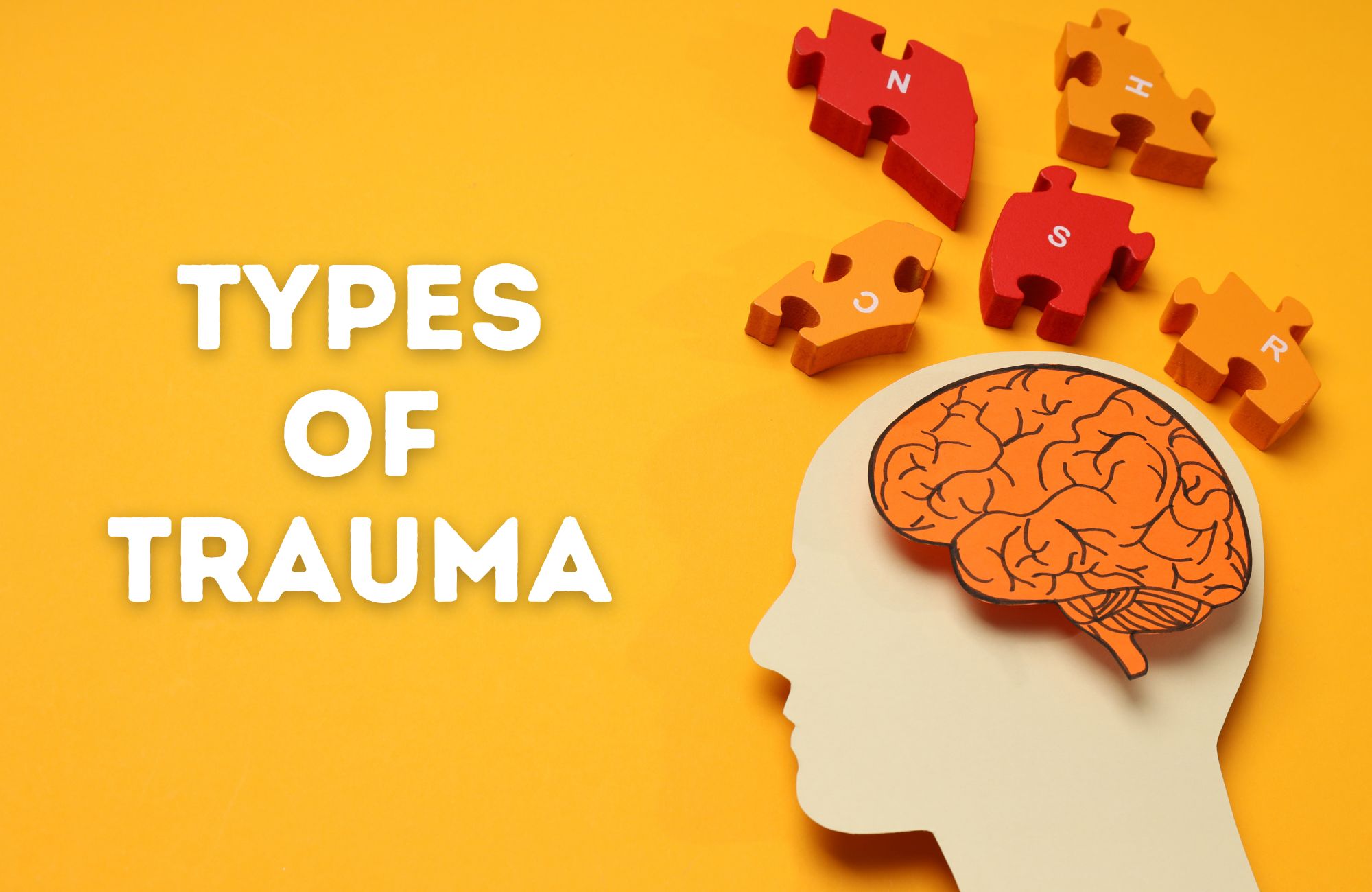 What are the Different Types of Trauma and How Do You Heal