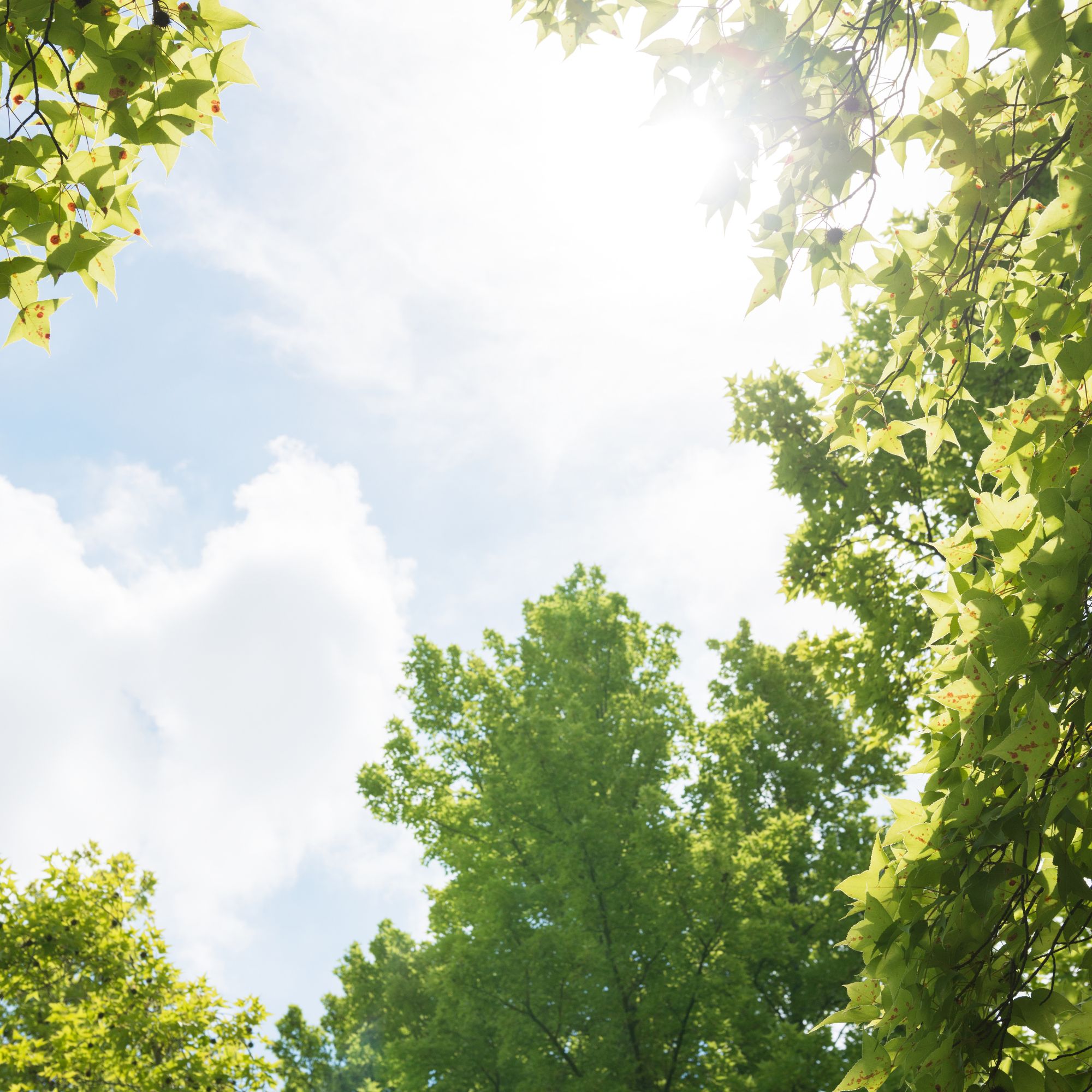 treated Addiction Counseling in Woburn, Massachusetts (2)